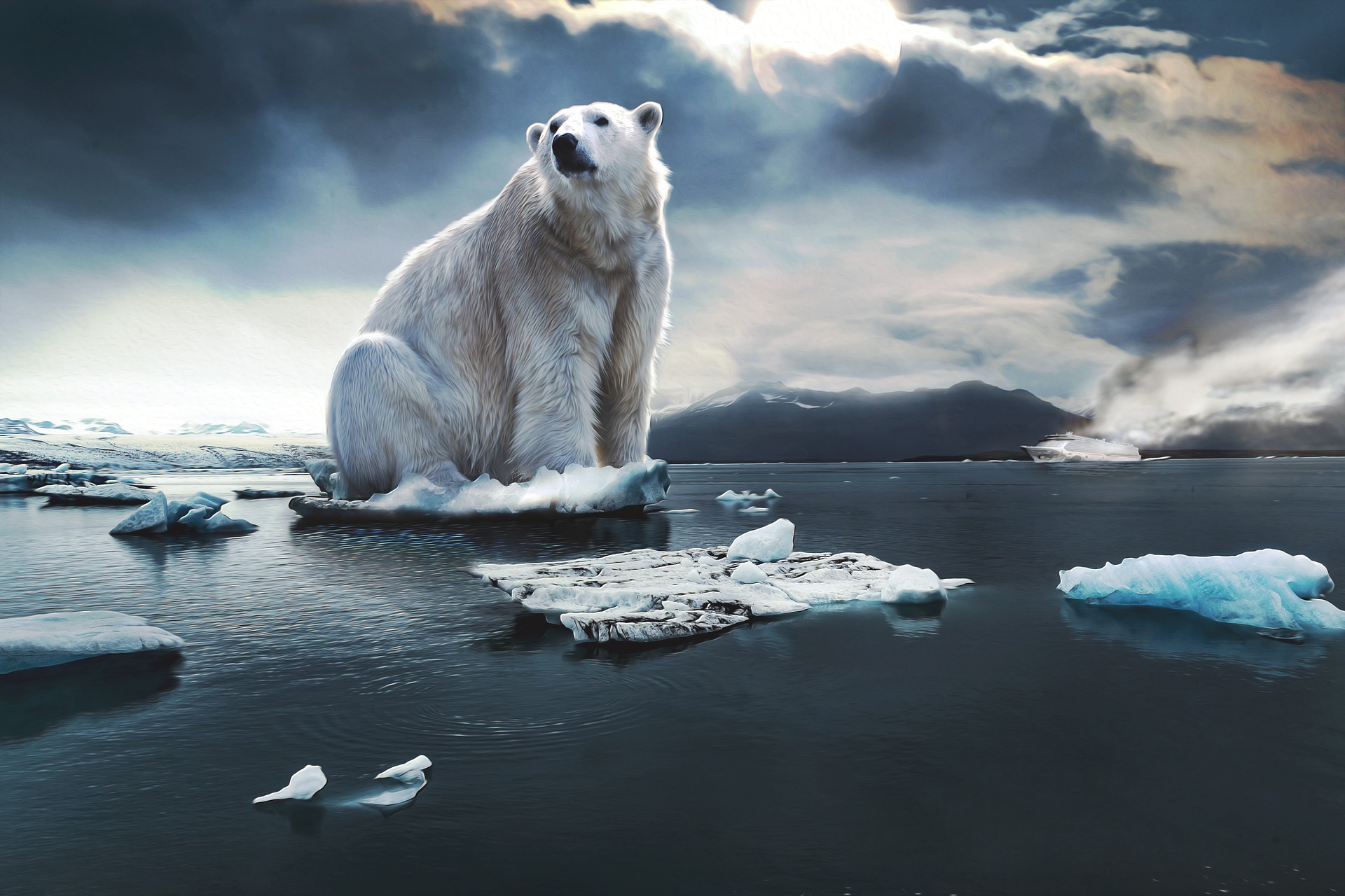 Das Verfassungsgericht und die Umwelt